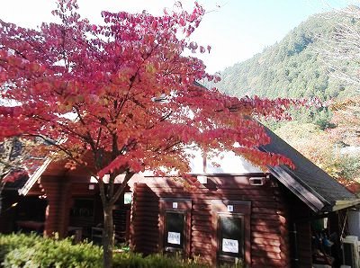 ★キャンプ場の紅葉★
