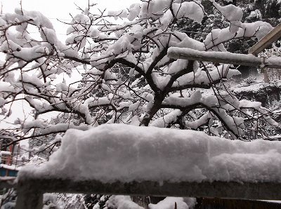 ★朝から除雪車が★