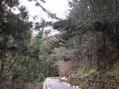 ★大雪による被害★