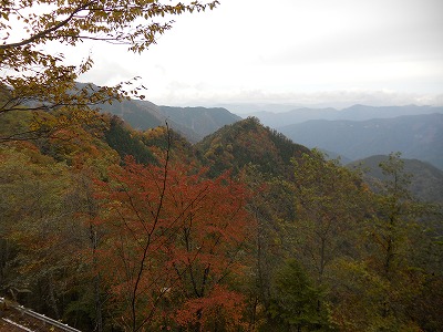 水窪の紅葉情報です！