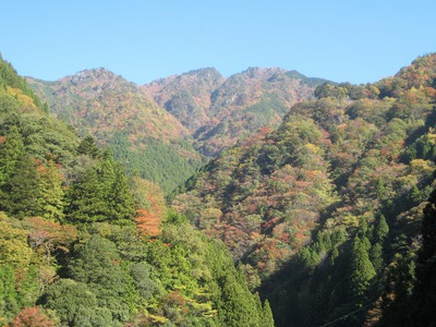 水窪紅葉