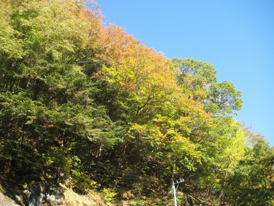水窪紅葉