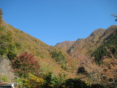 水窪紅葉