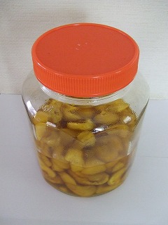 栗収穫