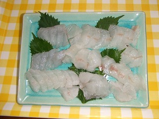 マゴチの刺身