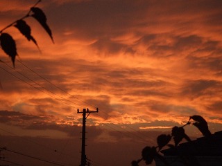 夕焼け