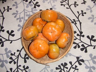 柿収穫
