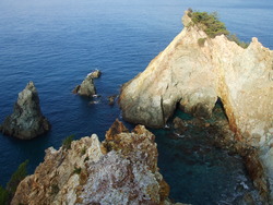 伊豆旅行