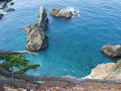 伊豆旅行