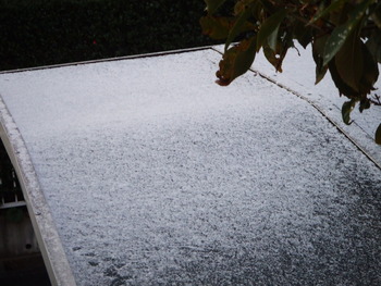 雪化粧