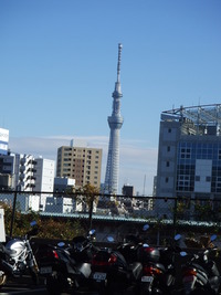 スカイツリー