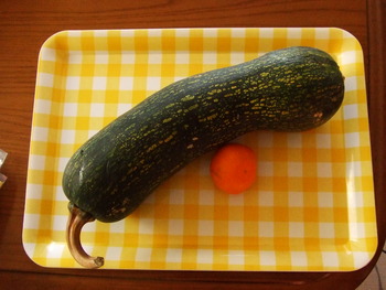 かぼちゃ