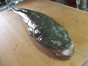 釣果