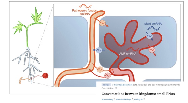 cross-kingdom communication