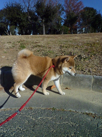 きれいな空だね
