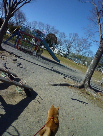 楽しいね♪