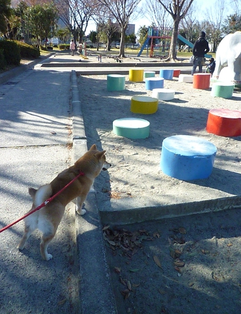 楽しいね♪