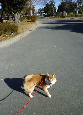楽しいね♪