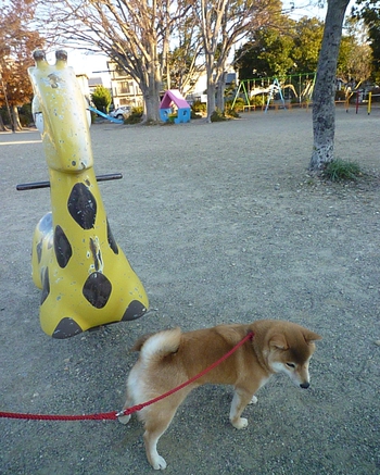 キリンさん♪