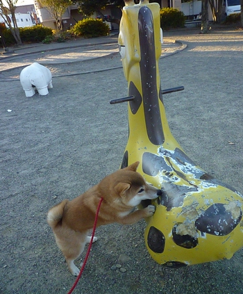 キリンさん♪