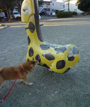 キリンさん♪