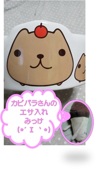 カビバラさんのエサ入れ