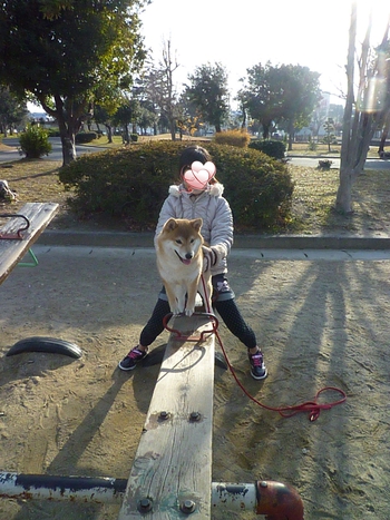 シーソーで遊ぶ
