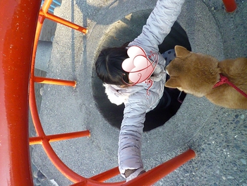 猿山に登って