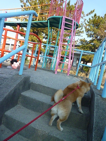 猿山に登って