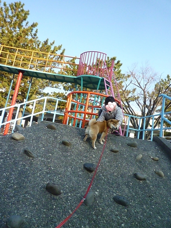 猿山に登って