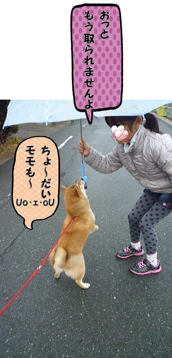 雨