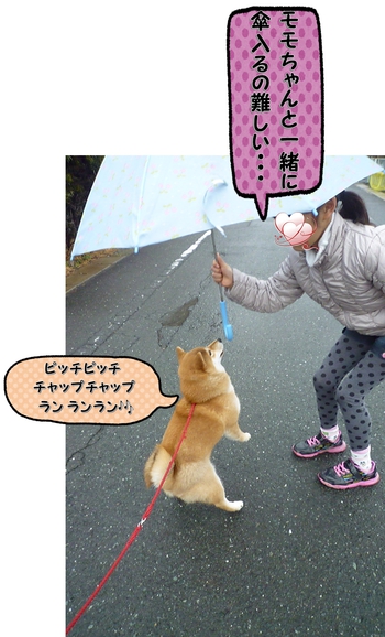 雨
