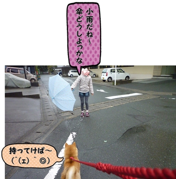 雨