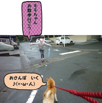 雨