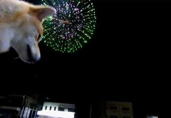 花火大会へ行ってきました。