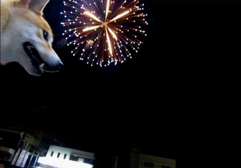 花火大会へ行ってきました。