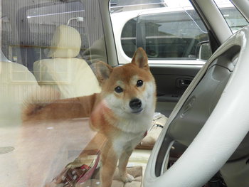 気配