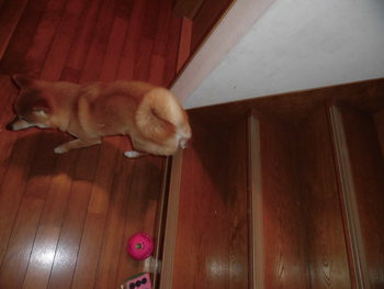 楽しいね＝＾－＾＝