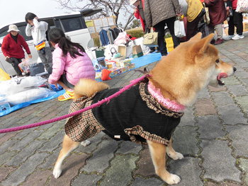 遠州灘海浜公園へ