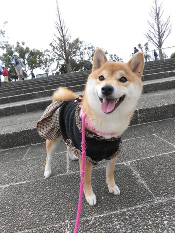 遠州灘海浜公園へ