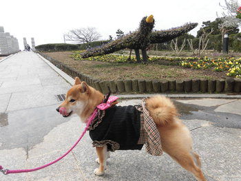 遠州灘海浜公園の写真