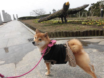 遠州灘海浜公園の写真