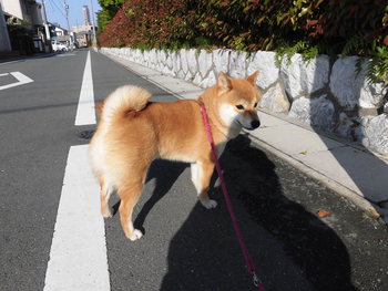 運気上昇