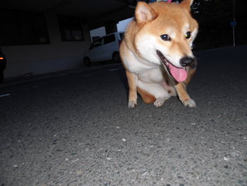 久々のブログです