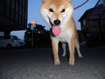 久々のブログです