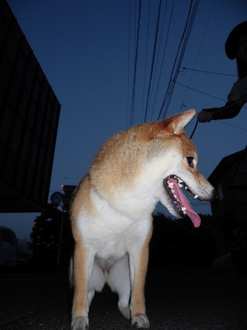 久々のブログです