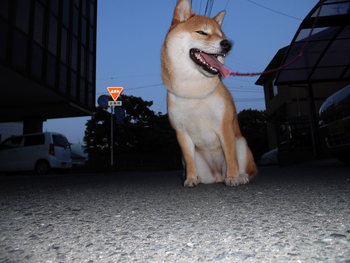 久々のブログです