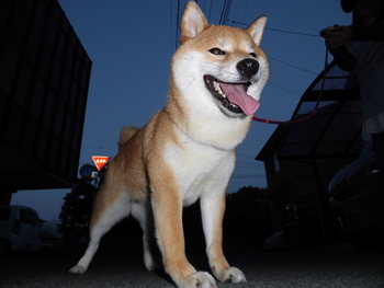 久々のブログです
