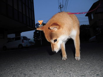 久々のブログです