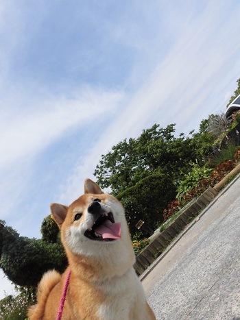 遠州灘海浜公園へ